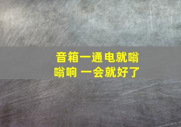 音箱一通电就嗡嗡响 一会就好了